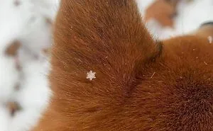 50 Animal Pics That Just Don't Make Any Sense, As Shared On This Instagram Account