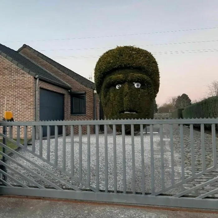 When A Friend Doesn't Invite You To Their House And You're Really Quite Relieved About It Actually