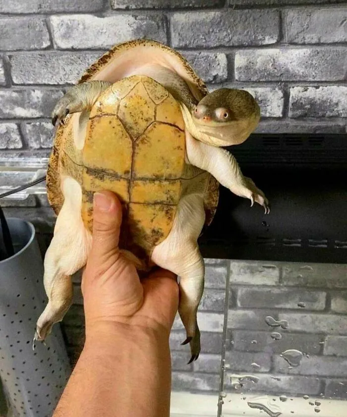 Uncomfortable Photo