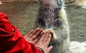 50 Animal Pics That Just Don't Make Any Sense, As Shared On This Instagram Account