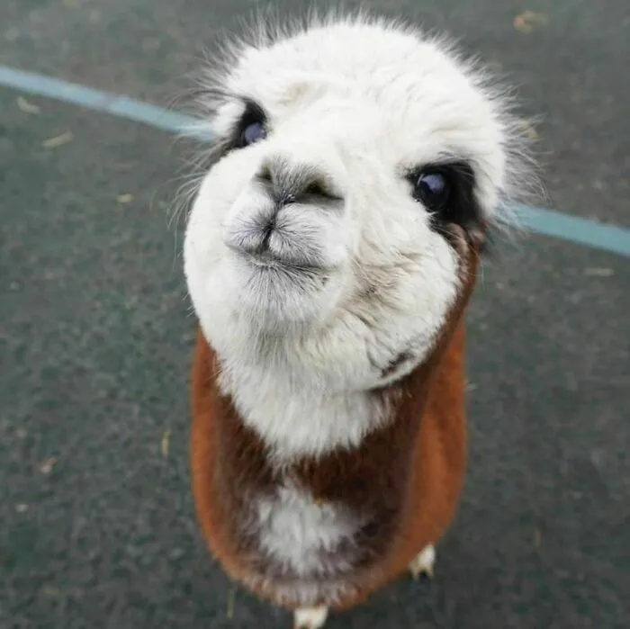 Nice To Meet You