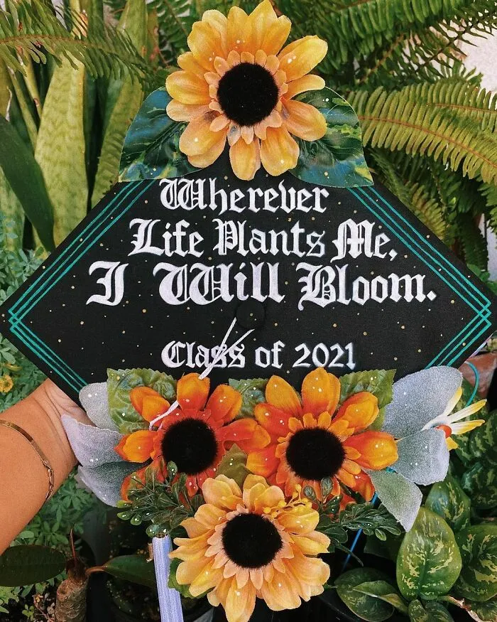 You Will Bloom