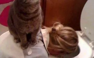50 Animal Pics That Just Don't Make Any Sense, As Shared On This Instagram Account