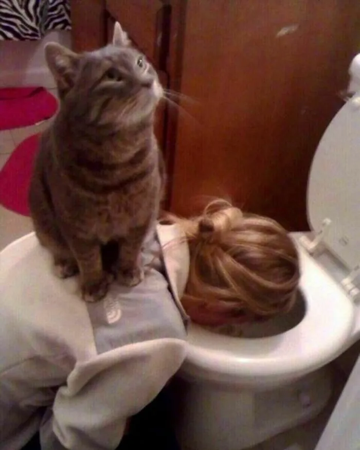 50 Fotos de animales que no tienen ningún sentido, compartidas en esta cuenta de Instagram