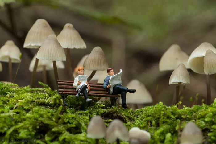 Reading A Book Between The Fungi
