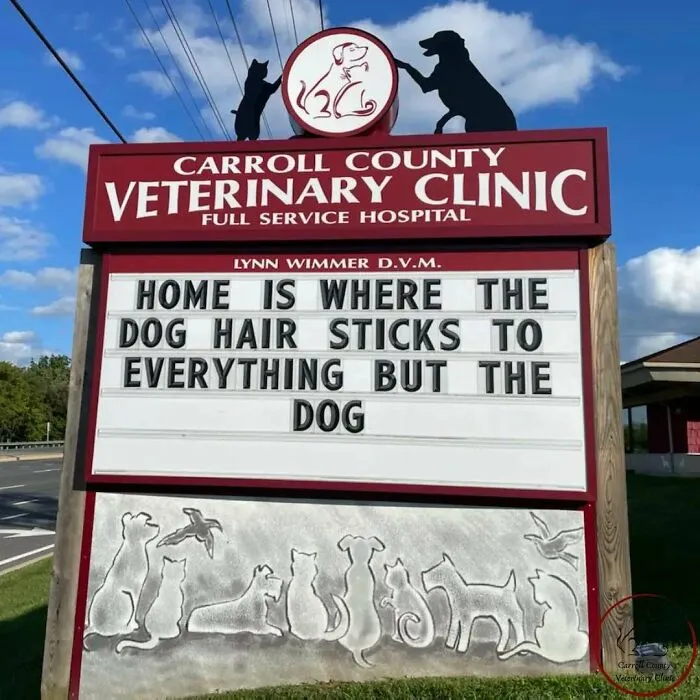 20 Divertidos carteles frente a esta clínica veterinaria que te harán sonreír