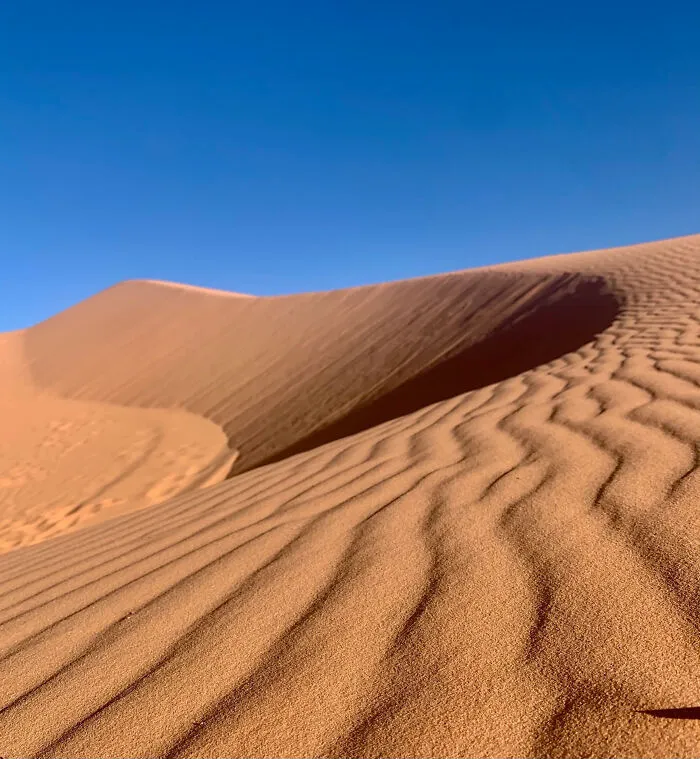 Coral Pink Sands Near Kanab, Utah