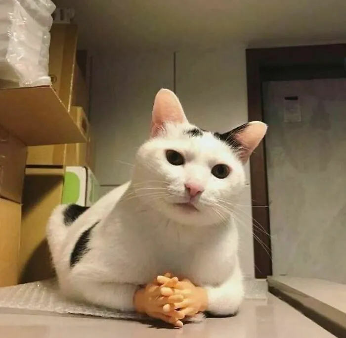 I Need A Title