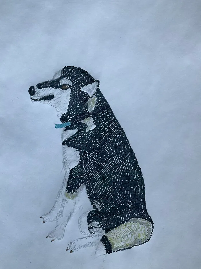 This Is My Attempt
