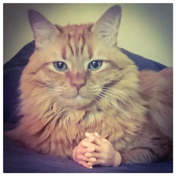 Ferghus Is Judging You. He Is Judging Us All.