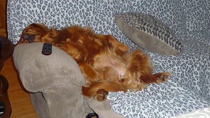 Ahhhh This Is The Life
