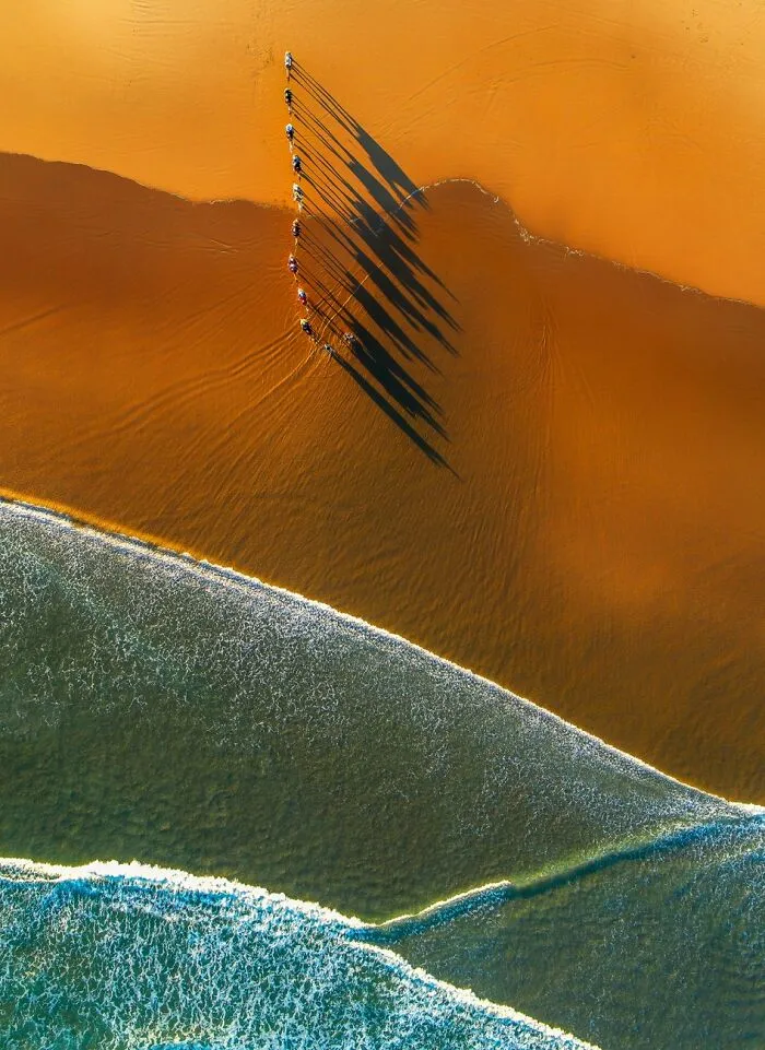 Camel Shadows At Sunset By Jim Picôt (Highly Commended In Nature Category)