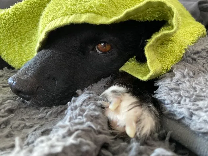 Bath Was So Tiring