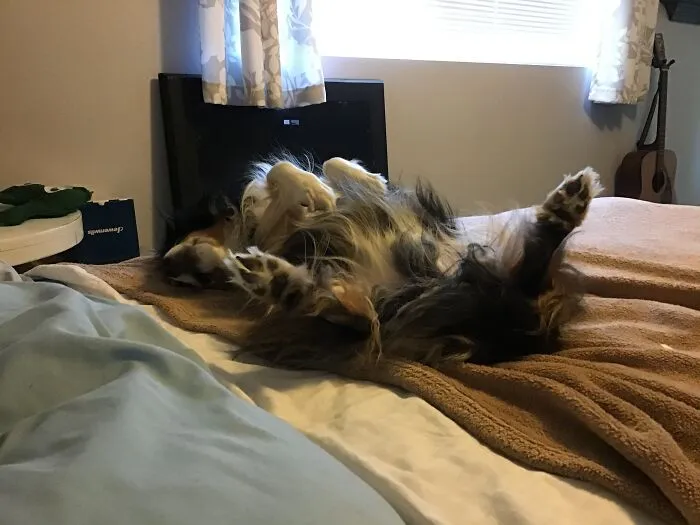 Air Splits
