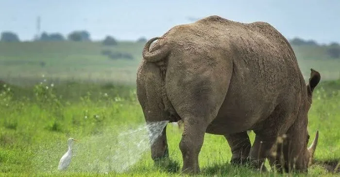 I Needed A Shower, Anyways.