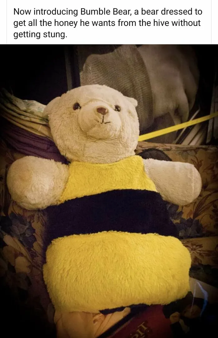 My Sister's Old Gerber Bear Wearing My Niece's First Halloween Costume.