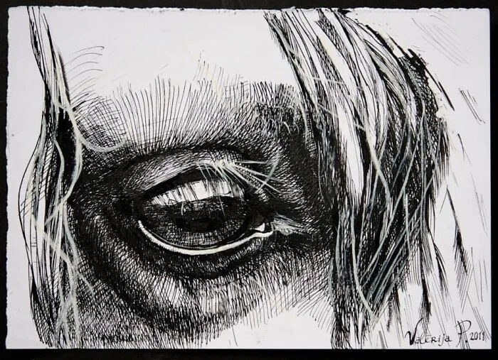 I'm An Artist From Florence, And I Express My Passion For Horses Through My Artworks (9 Pics)
