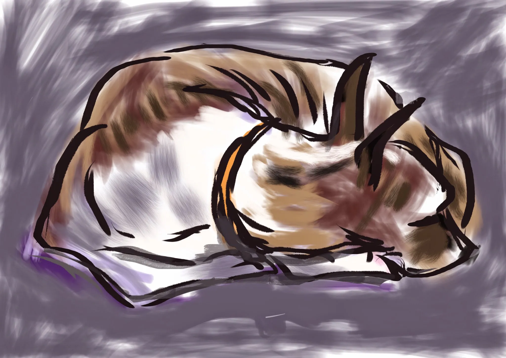 Hey Pandas, Take A Picture Of Something, Then Try And Draw It As Best As You Can!!!