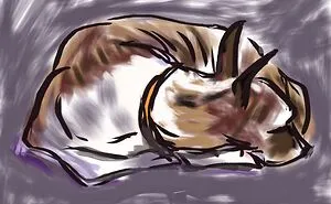 Hey Pandas, Take A Picture Of Something, Then Try And Draw It As Best As You Can!!!