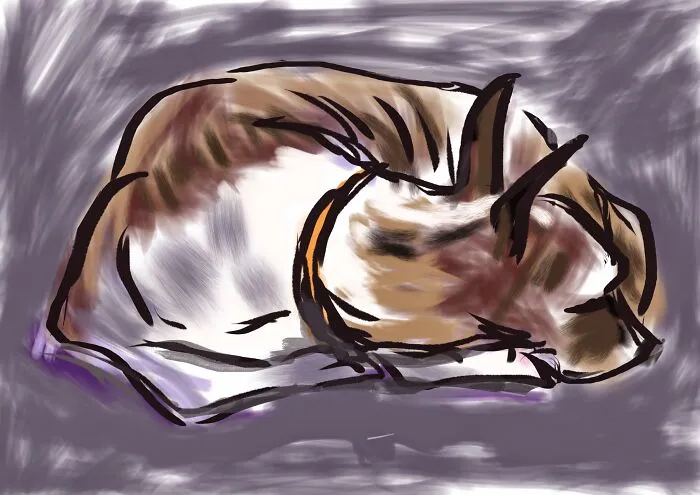 Draw A Photo