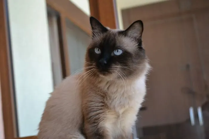 My Boy (18 Years Old)