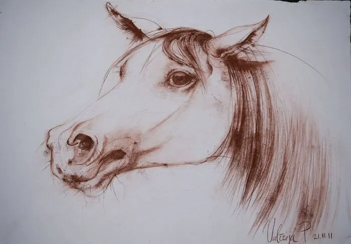 I'm An Artist From Florence, And I Express My Passion For Horses Through My Artworks (9 Pics)