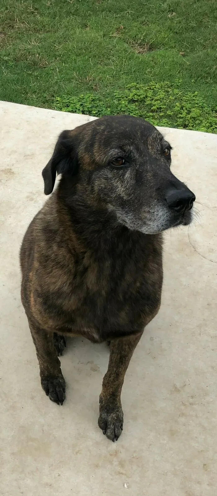 Cooper, 11 Yo