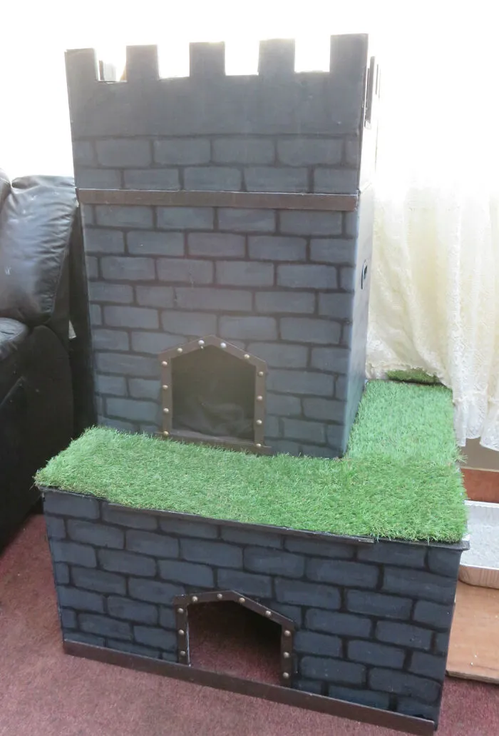 I Made A Castle For My Cats.  2 Boxes And Scrap Bits  And Pieces.  They Can Climb Through The Bottom Box Into The One Above Through A Hole And There Is A Top Floor Which Also Has Fake Grass For When They Want To Enjoy The Sun In The Conservatory