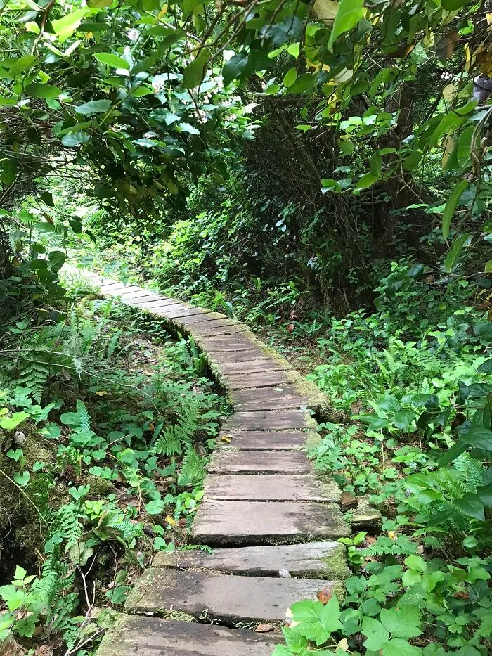 Juan De Fuca Provincial Park