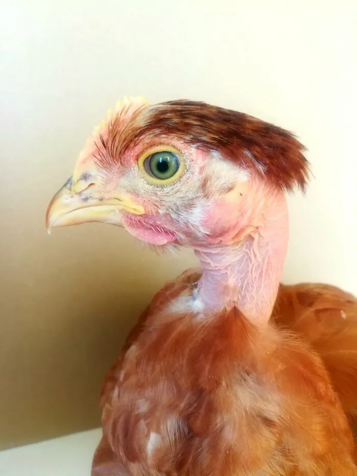 Her Name Is Shelby