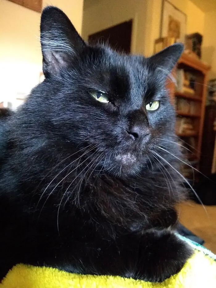 Steven Snuggles Smugly