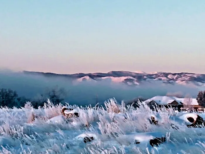 Actual Wall Of Fog