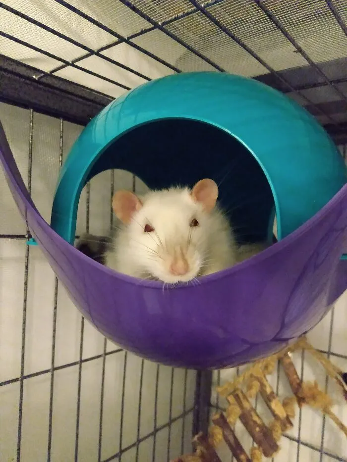 I May Have Woken Him Up...