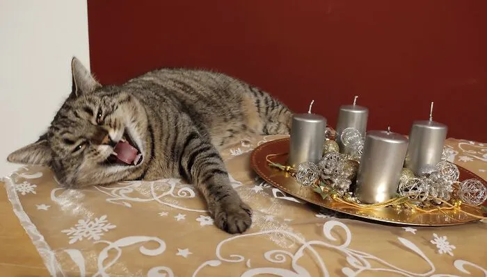 Do Not Touch! It's Mine Now!