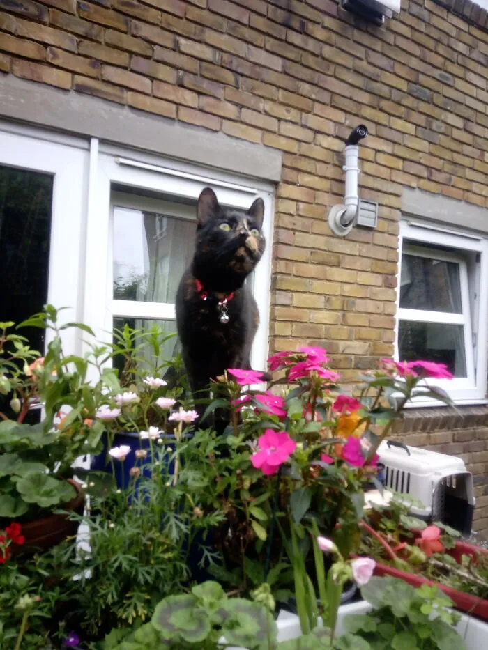 Giz Exploring!