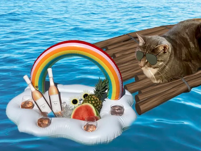 Cool Kitty Relaxing...