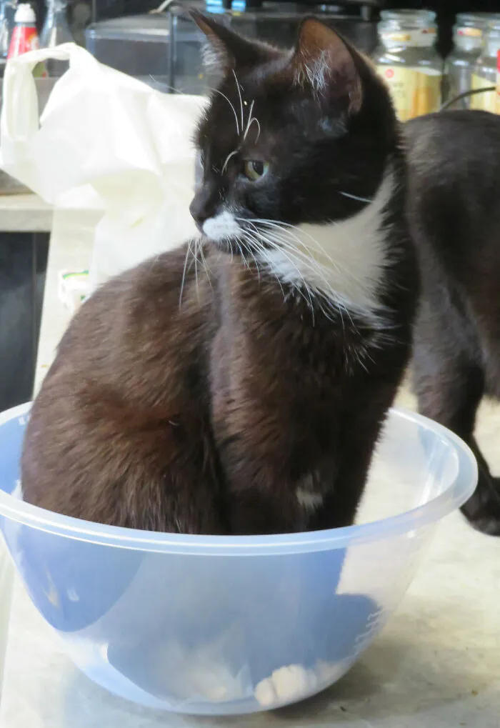Coco