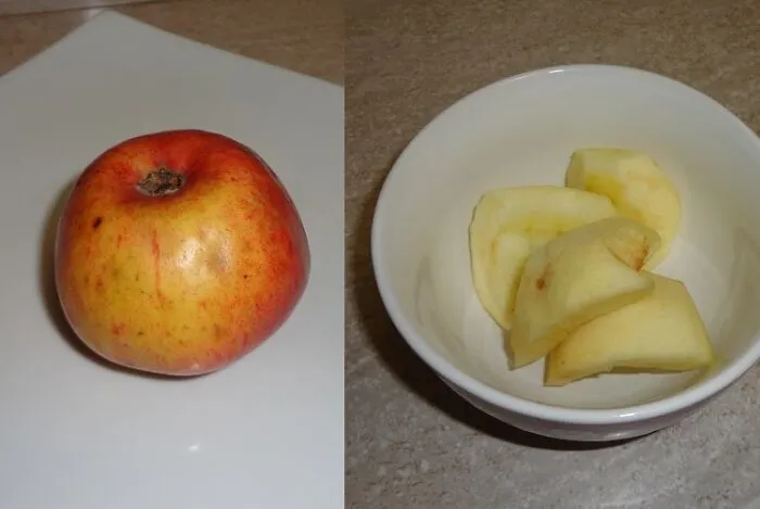 The Apple I Swiped From The Orchard At Sir Isaac Newton's Family Home