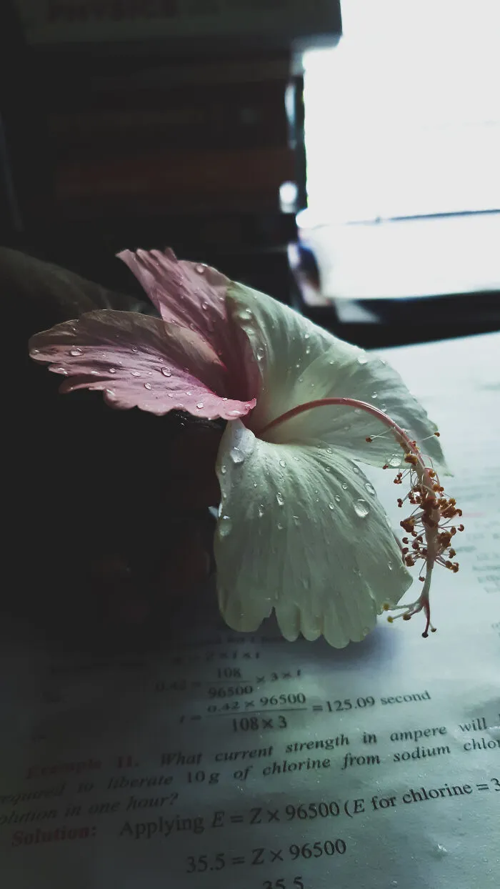 Not Something "Made" Made, But Clicked With Not-So-Good Camera
