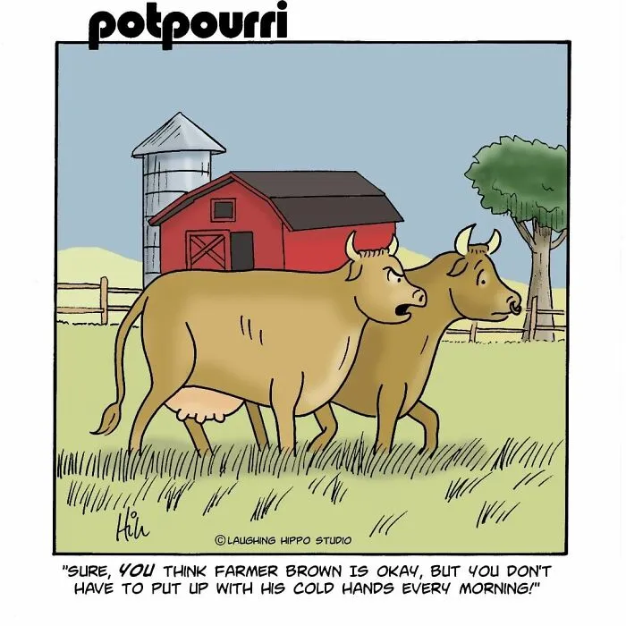 30 One-Panel Comics That Might Brighten Your Day By Laughing Hippo Studio