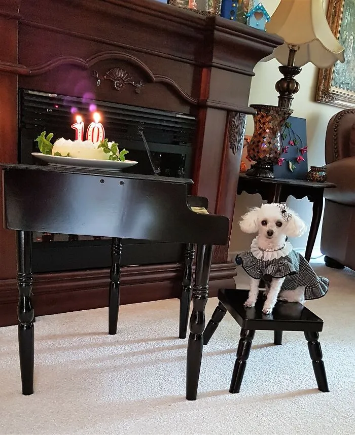 Our Precious Girl Who Just Turned 10 Recently!  Presenting: Miss. Maggie Lou Freebush!