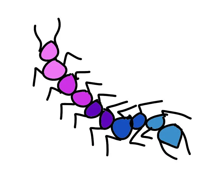An Omnisexual Centipede