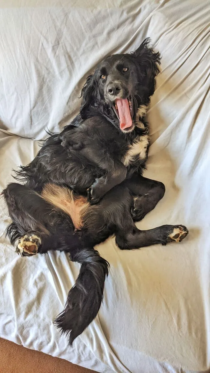 Hey Guys!