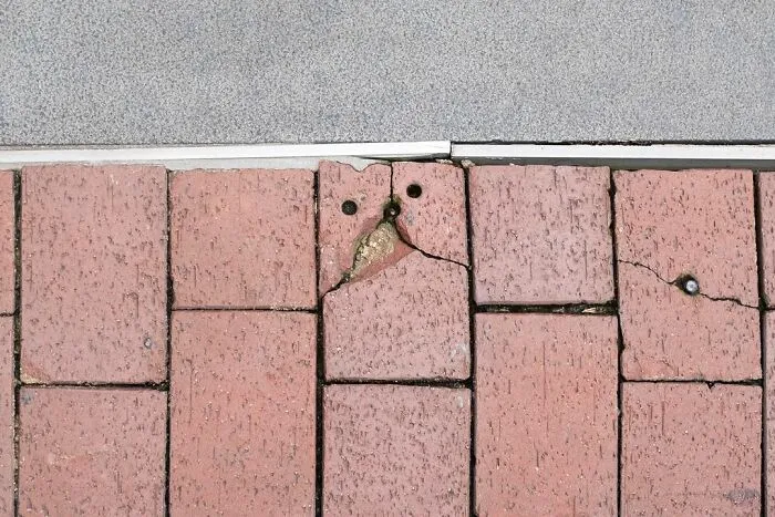 30 Nuevas fotos accidentalmente brillantes de Edas Wong