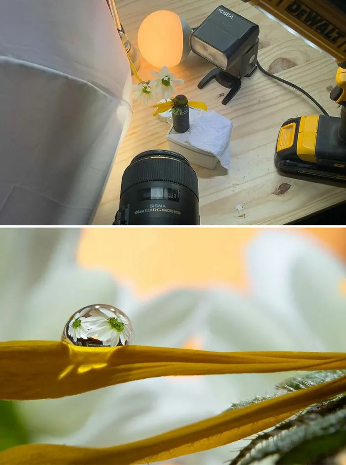 Photographer Gives A Glimpse Of How He Makes His Photos Using Water Droplet Techniques (88 Pics)