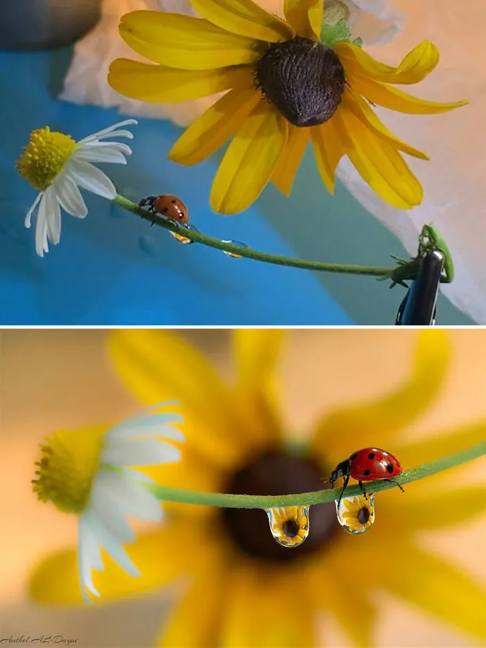 Photographer Gives A Glimpse Of How He Makes His Photos Using Water Droplet Techniques (88 Pics)