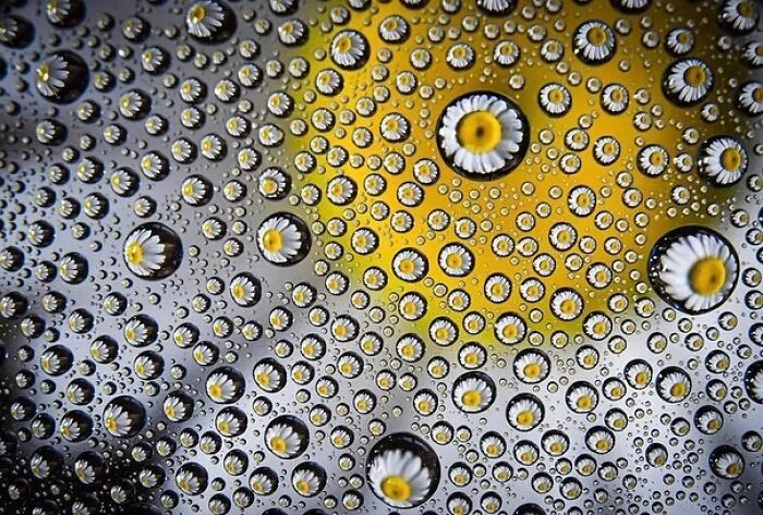 Photographer Gives A Glimpse Of How He Makes His Photos Using Water Droplet Techniques (88 Pics)