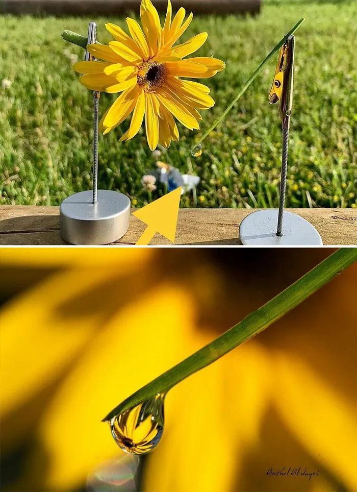 Photographer Gives A Glimpse Of How He Makes His Photos Using Water Droplet Techniques (88 Pics)