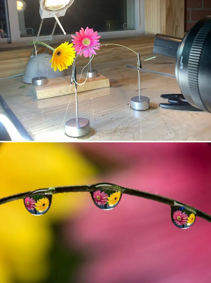 Photographer Gives A Glimpse Of How He Makes His Photos Using Water Droplet Techniques (88 Pics)