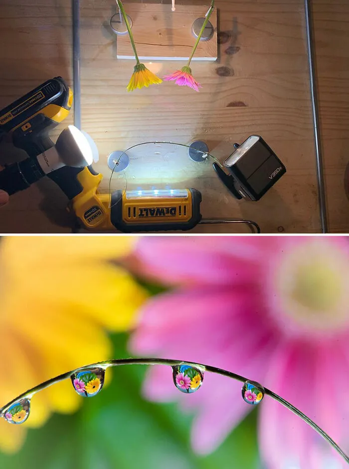 Photographer Gives A Glimpse Of How He Makes His Photos Using Water Droplet Techniques (88 Pics)